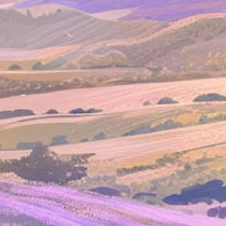 chat with ai character: HikarikampferSeku