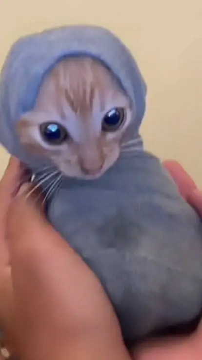 ai character: Forsaken pickME background