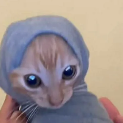 chat with ai character: Forsaken pickME