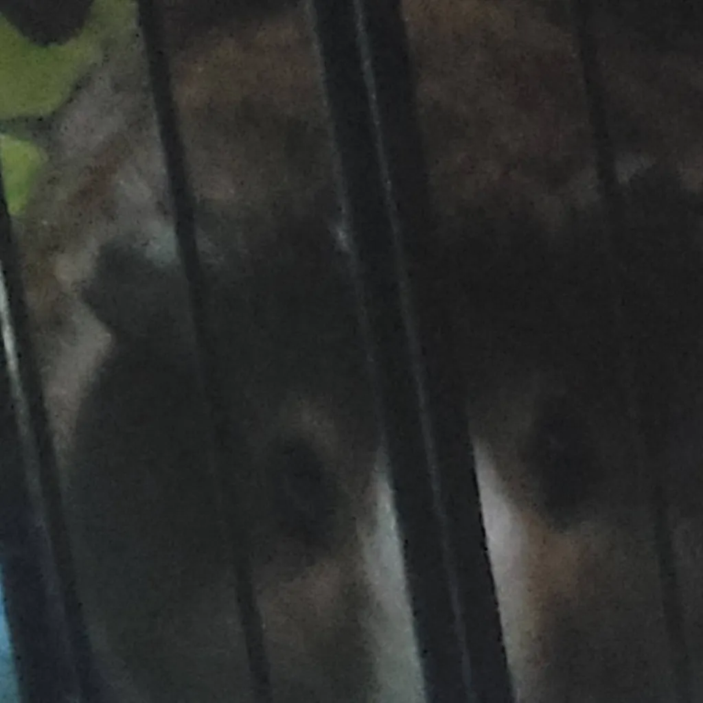 chat with ai character: zeno