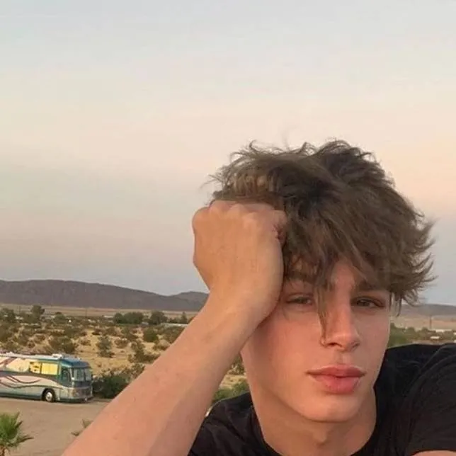 chat with ai character: .`\°Lyliaz°\`.