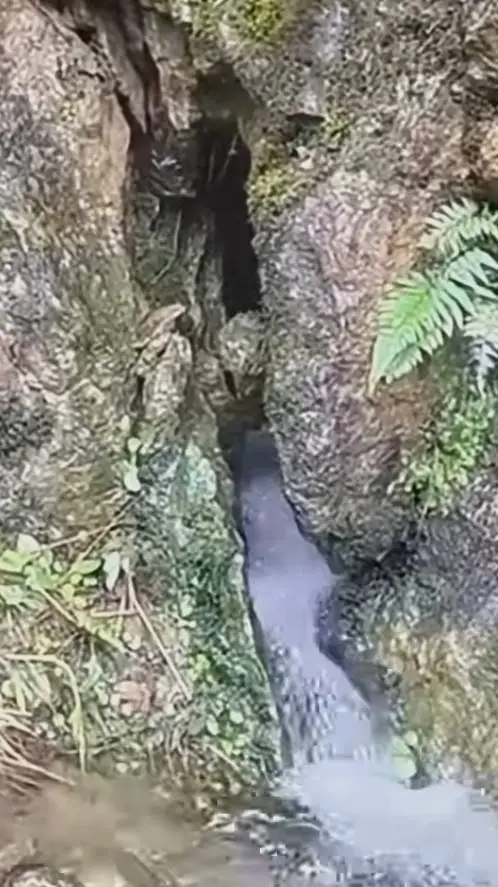 ai character: Nature cave? background