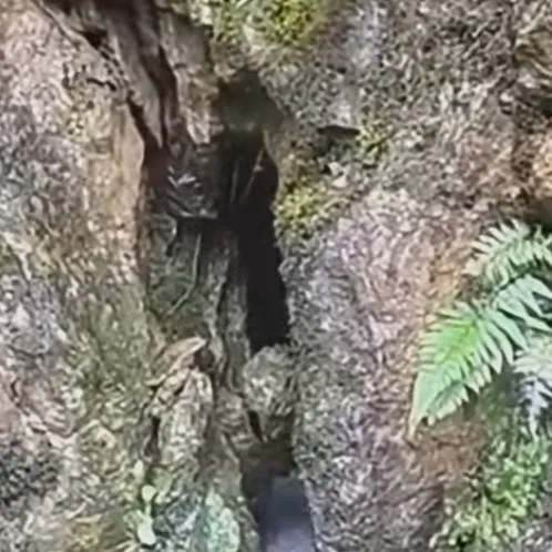 chat with ai character: Nature cave?