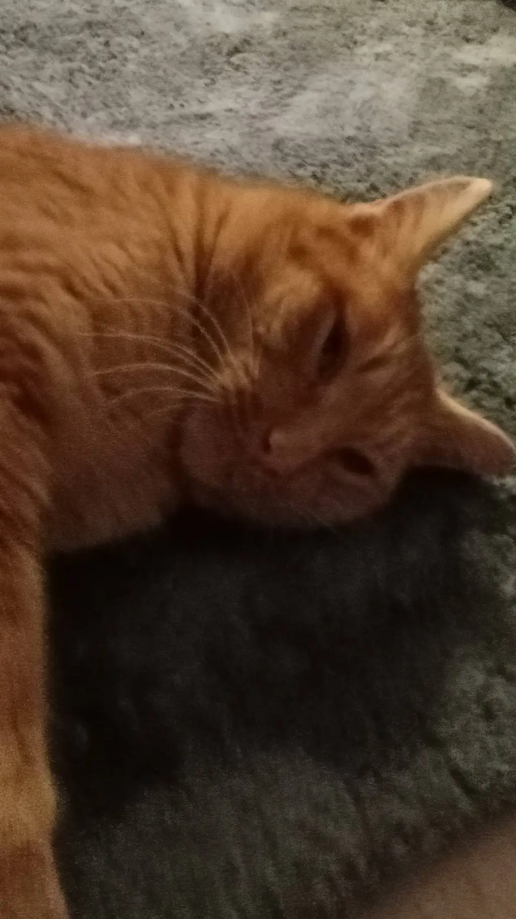 ai character: Gnarpy virus background