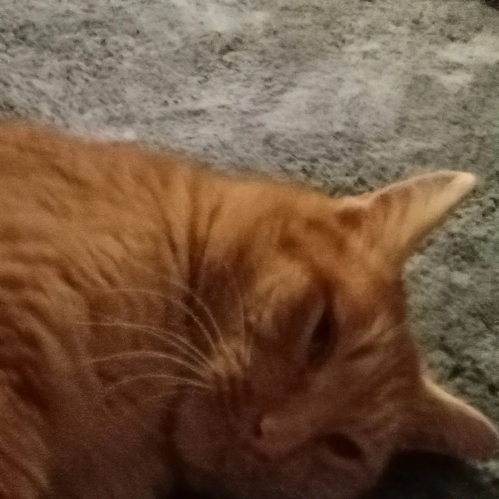 chat with ai character: Gnarpy virus