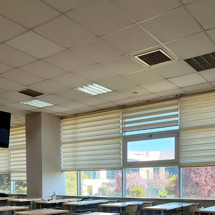 chat with ai character: School