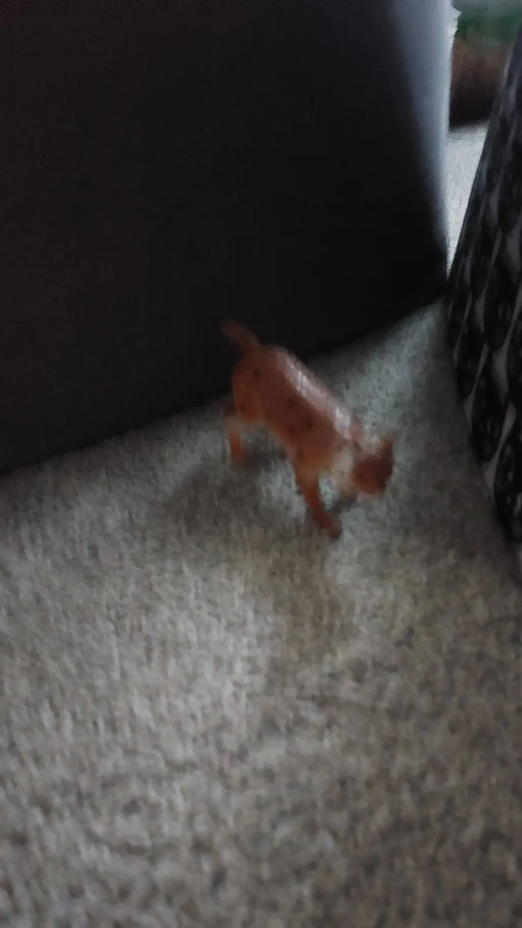 ai character: lynx background