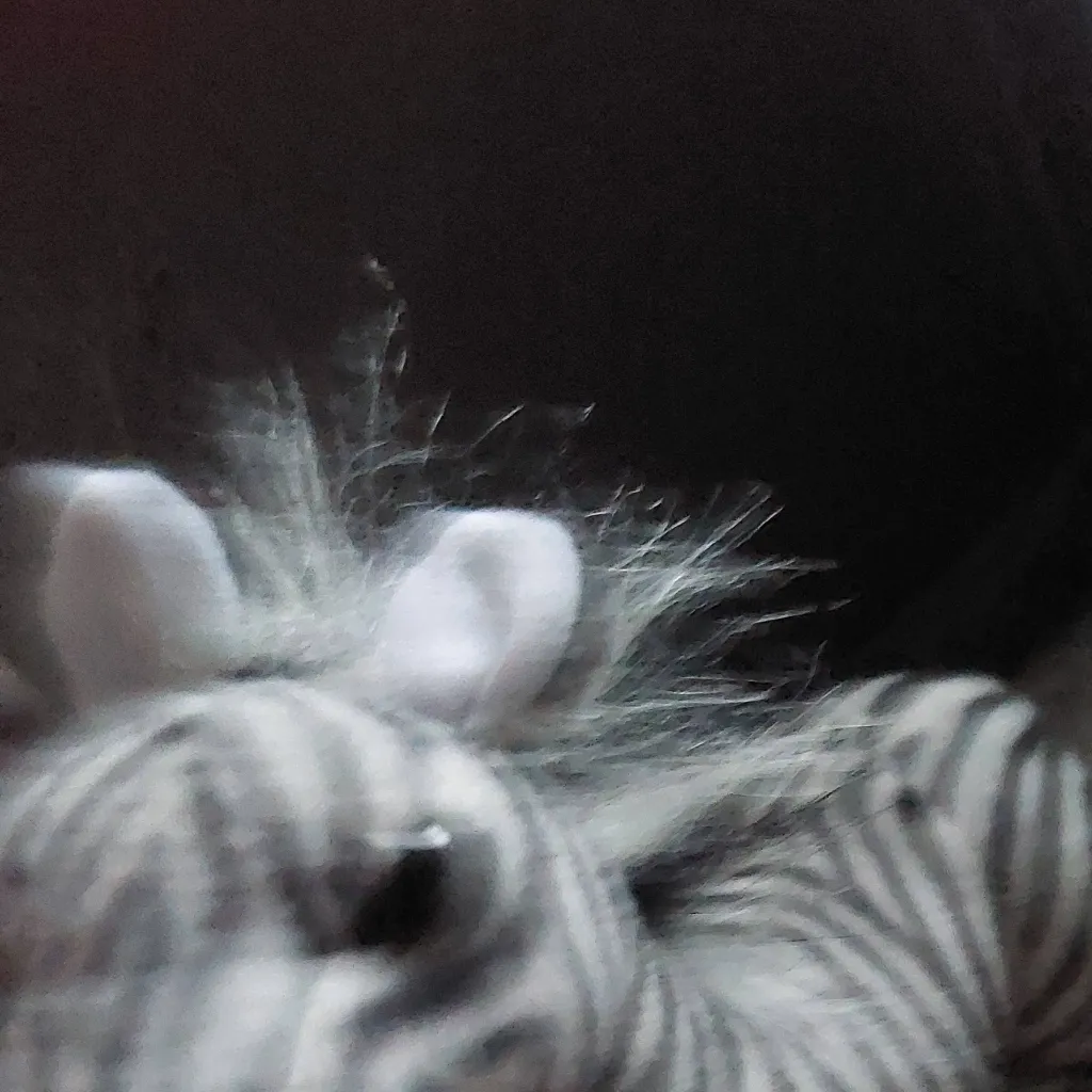 chat with ai character: zebra plush