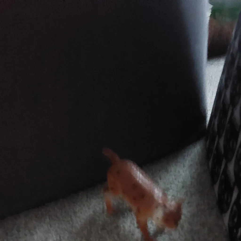 chat with ai character: lynx