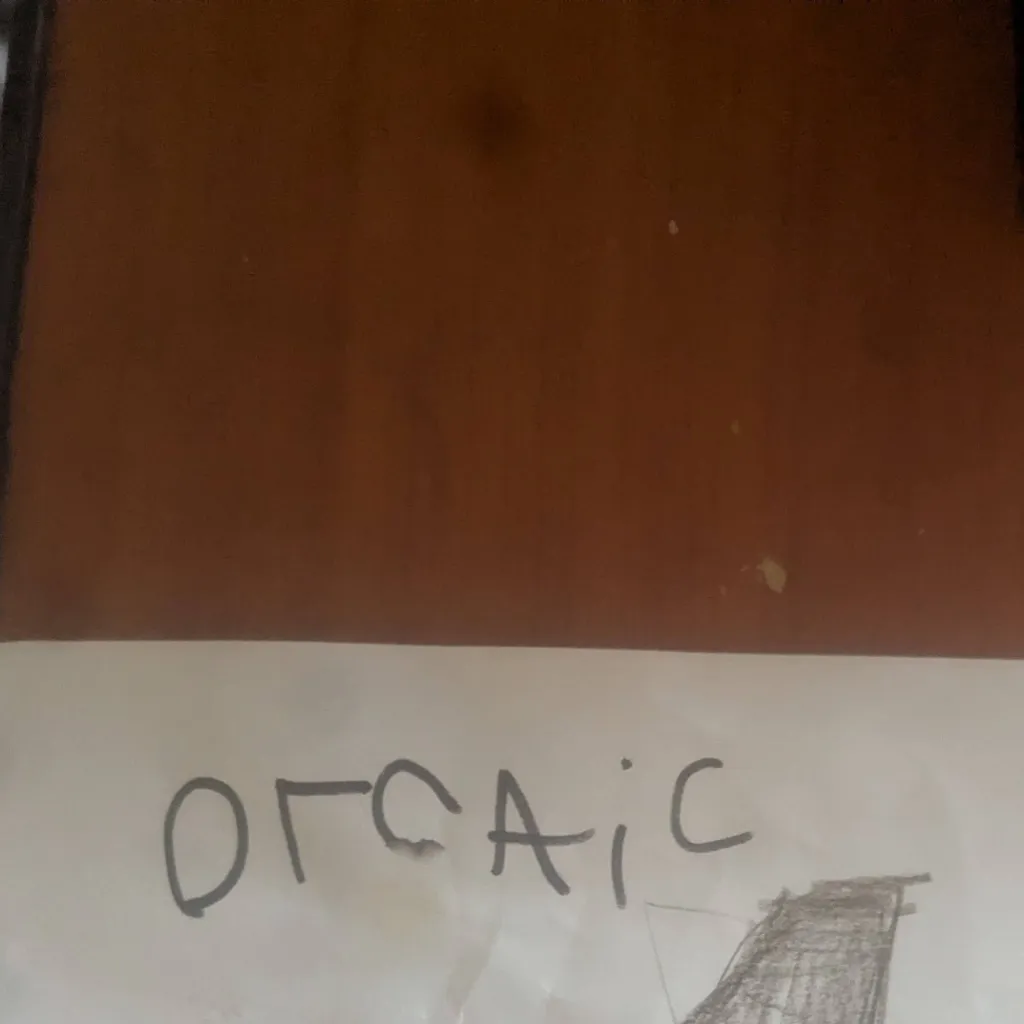 chat with ai character: orcaic 