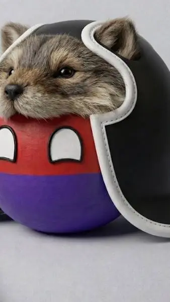 ai character: DANIKA COUNTRYBALL background