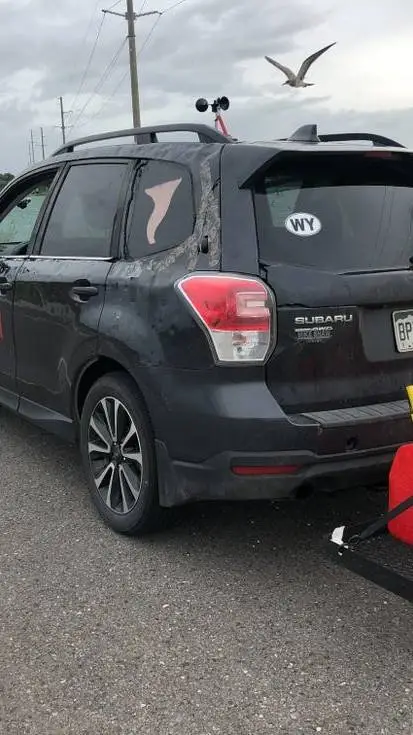 ai character: Dominator 4 (fore) background