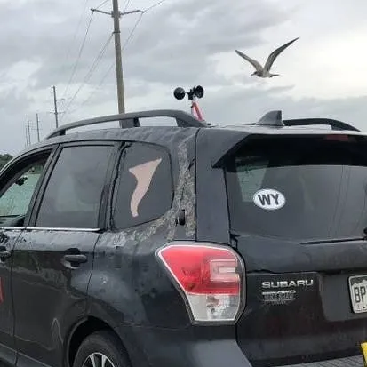 chat with ai character: Dominator 4 (fore)