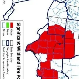 chat with ai character: wildfire....