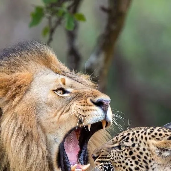 chat with ai character: guerra l.