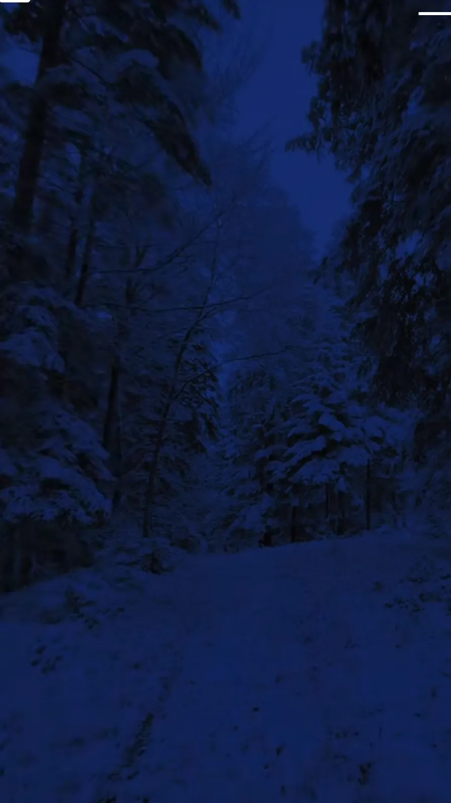 ai character: Therapist✩ background