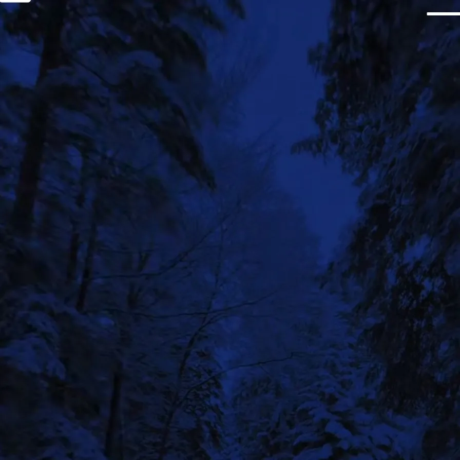 chat with ai character: Therapist✩