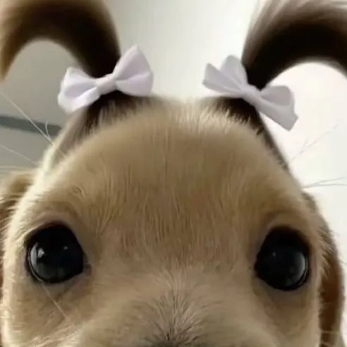 chat with ai character: Nova aluna(o) 