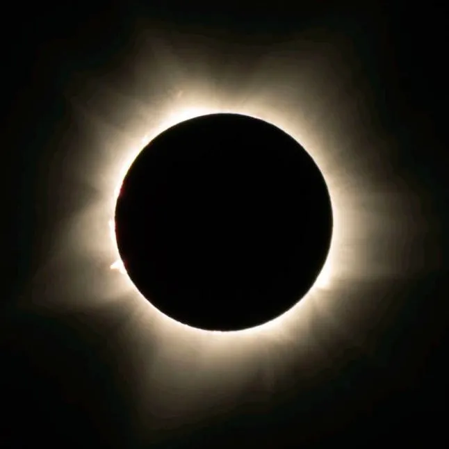 chat with ai character: MHA