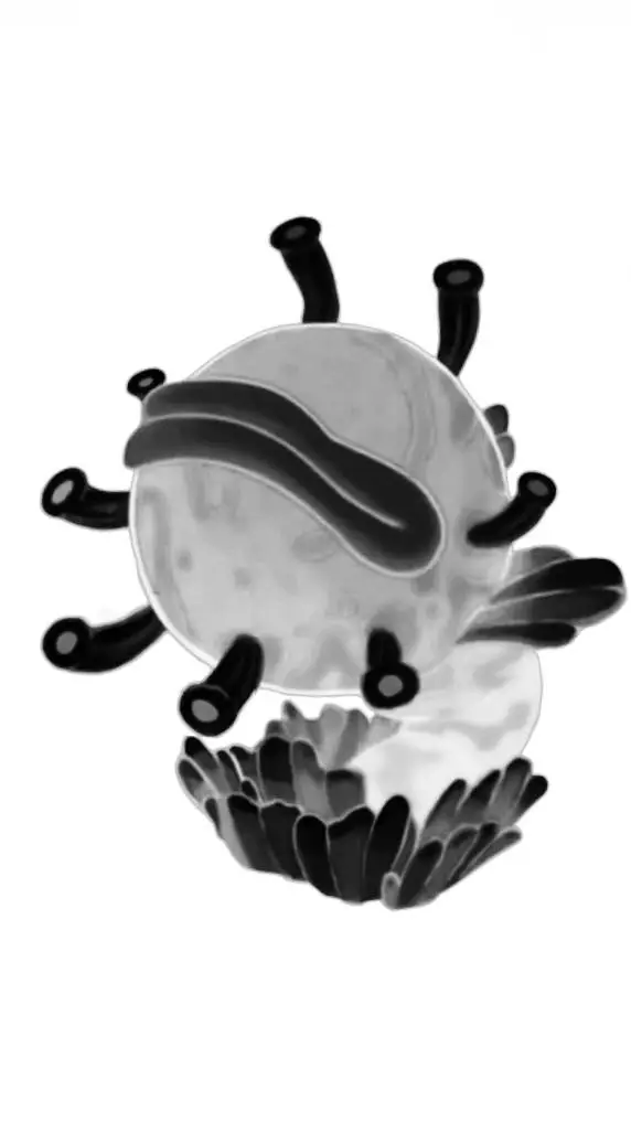 ai character: Haord background