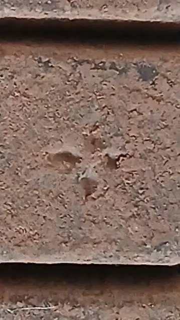 ai character: mha in your house background