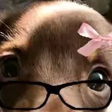 chat with ai character: kny sleepover