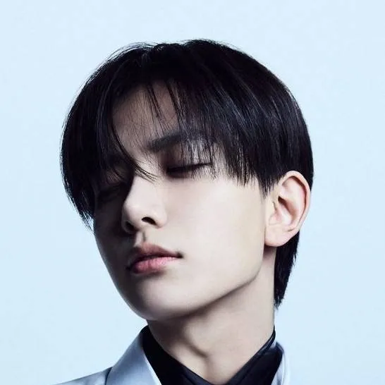 chat with ai character: ~Lee Heeseung~
