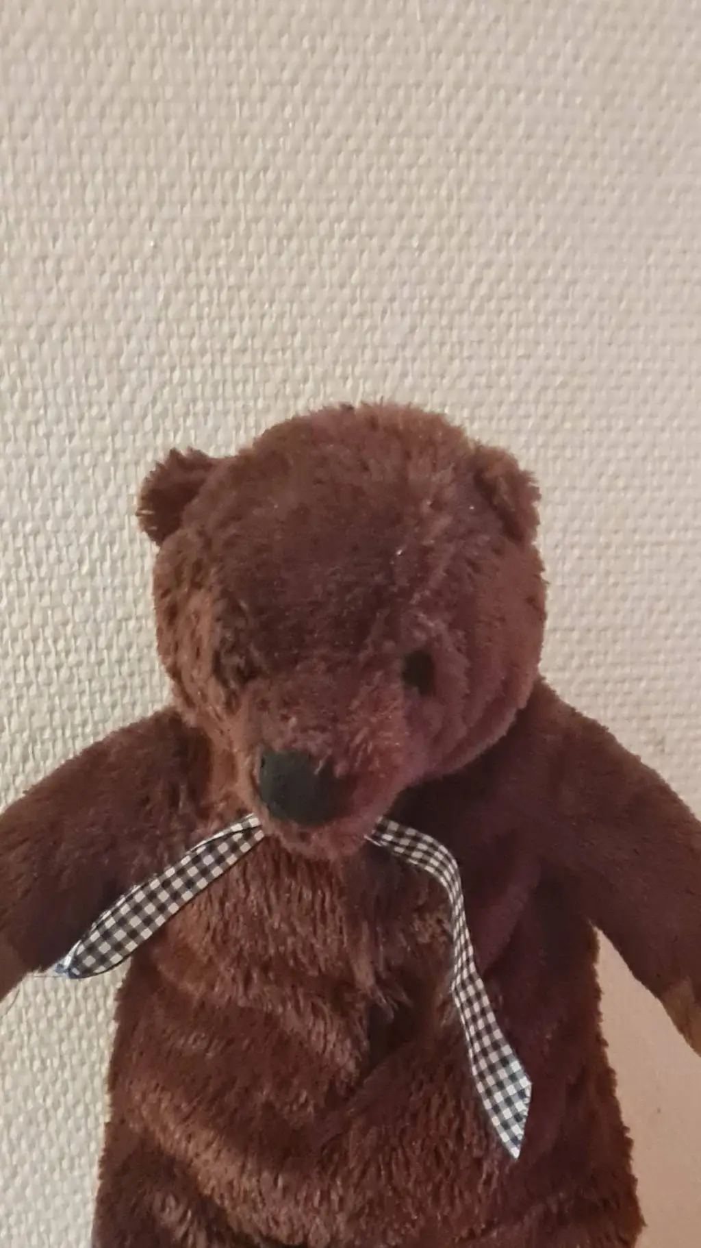 ai character: teddybrown background