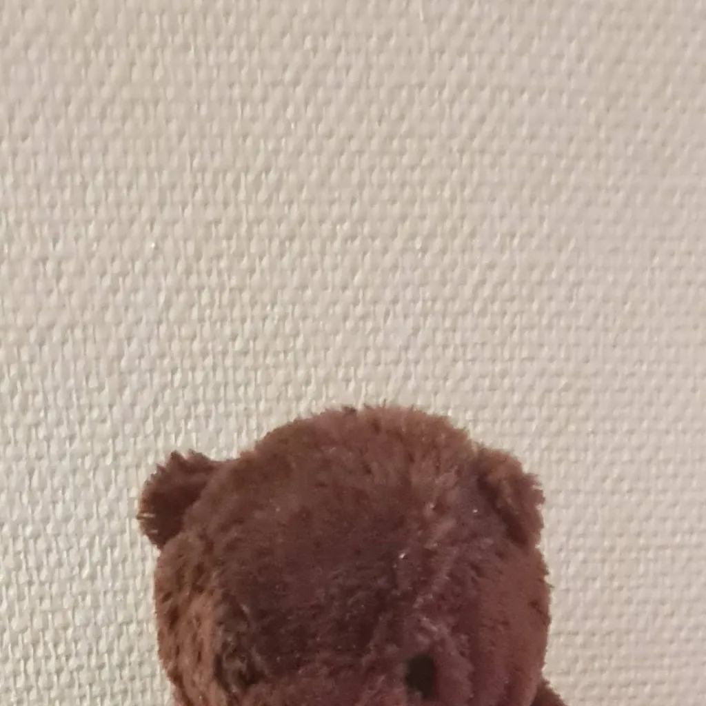 chat with ai character: teddybrown