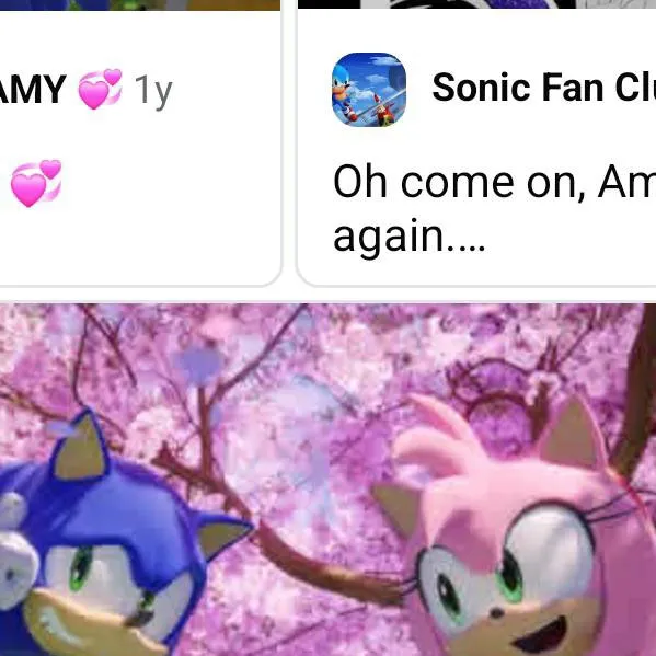 chat with ai character: sonic X amy 