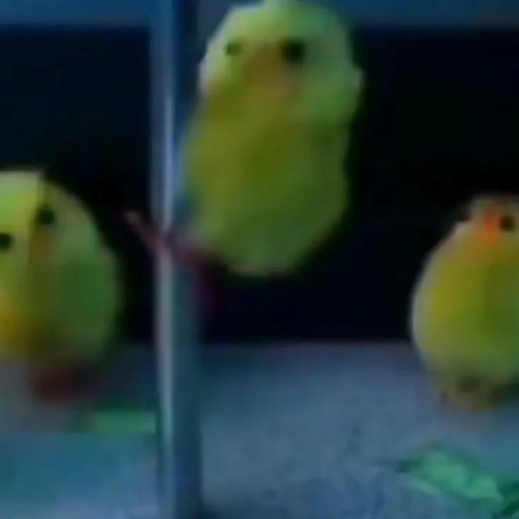 chat with ai character: Die of death❤️u