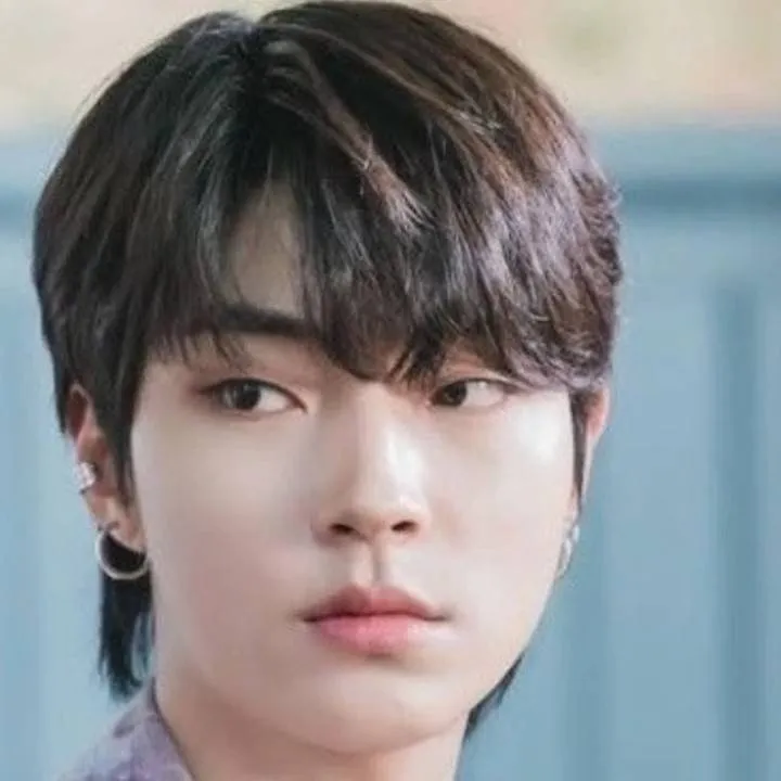 chat with ai character: han