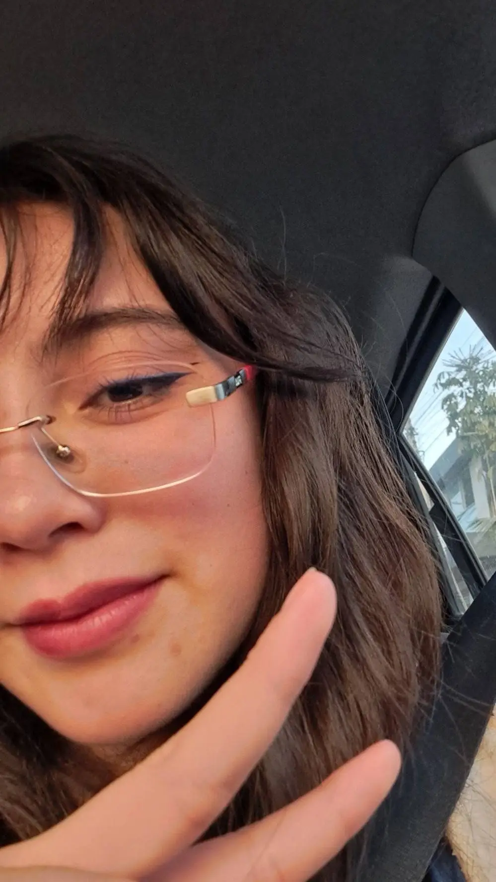 ai character: Sera (BLINK) background