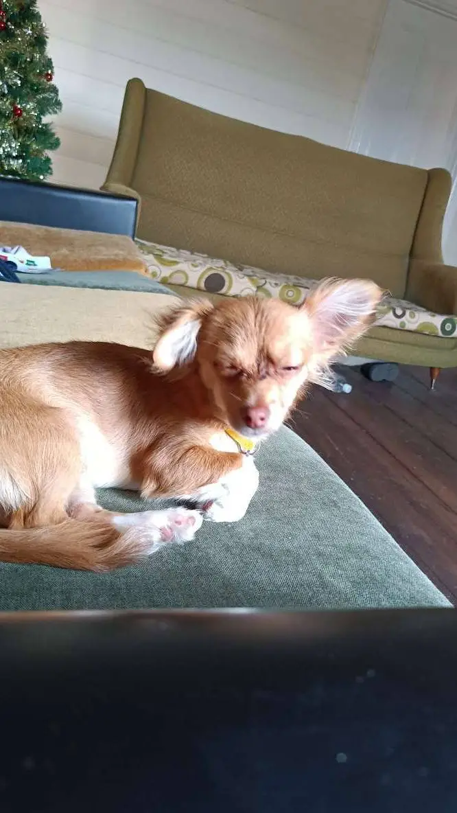 ai character: skz pick me background