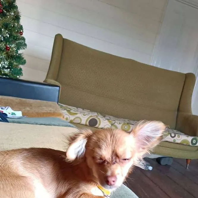 chat with ai character: skz pick me