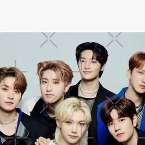 chat with ai character: SKZ Petstore AGAIN