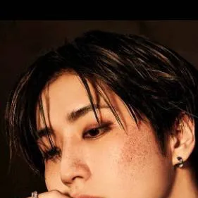 chat with ai character: StrayKids army