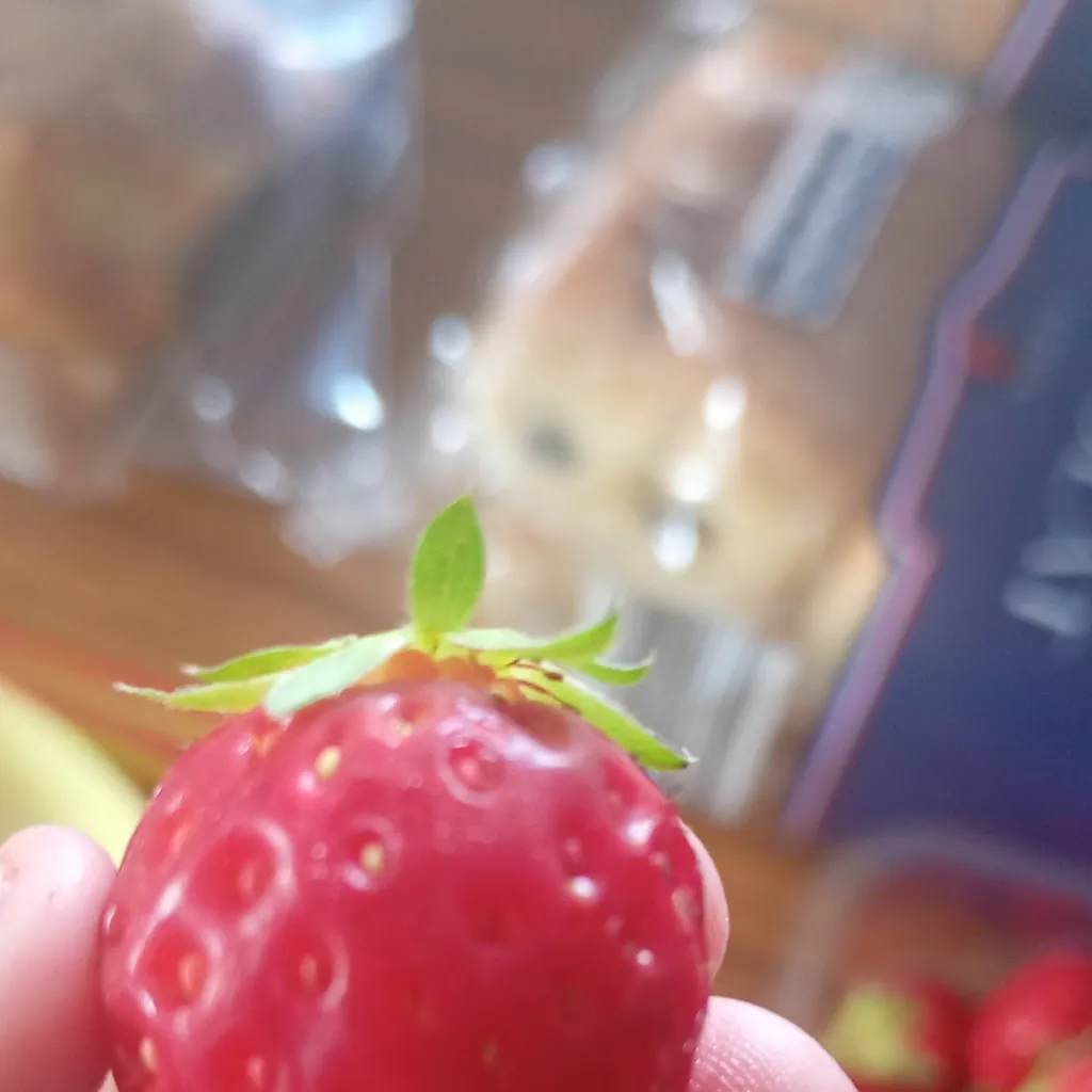 chat with ai character: Strawberry