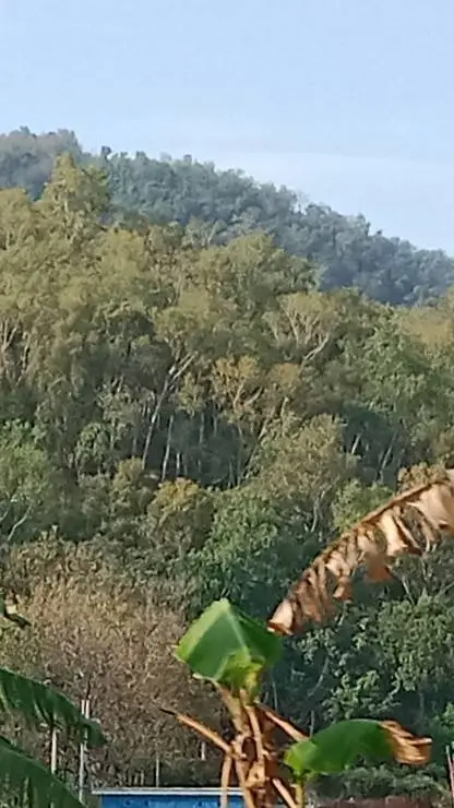 ai character: DW hates you?!  background