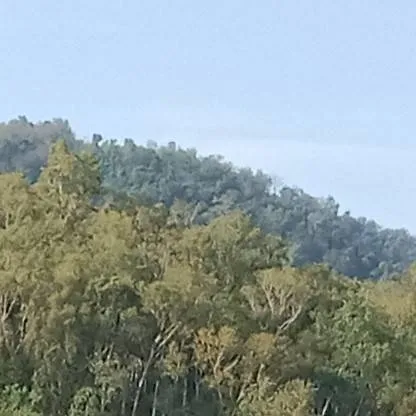 chat with ai character: DW hates you?! 