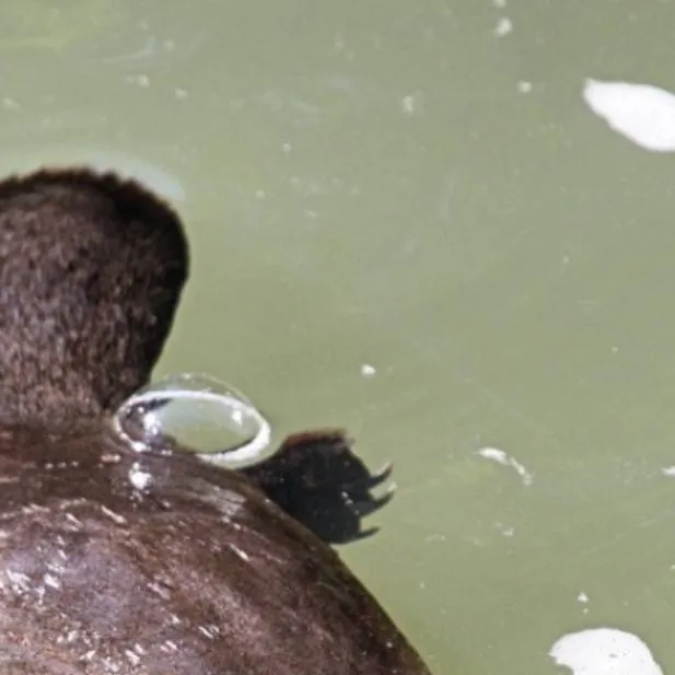 chat with ai character: kny GYM