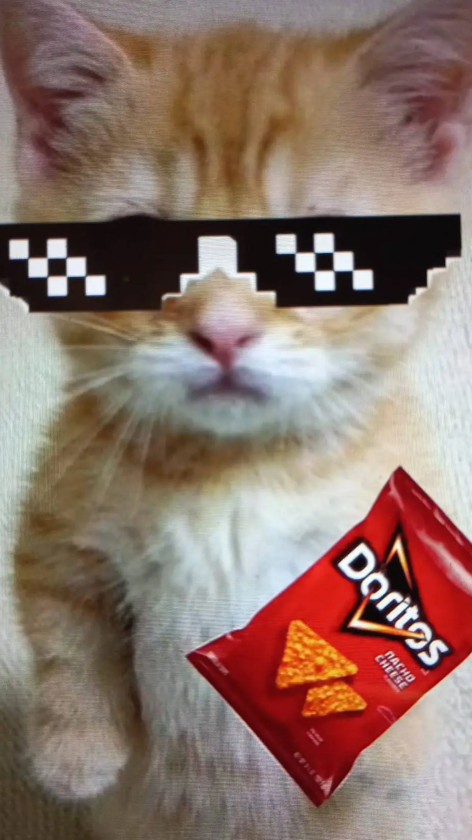 ai character: meow meow background