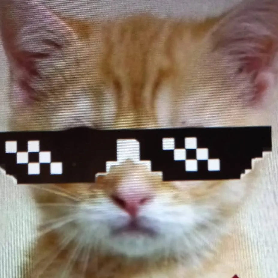 chat with ai character: meow meow