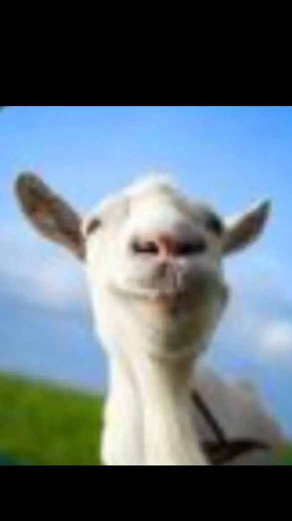 ai character: goat simulator background