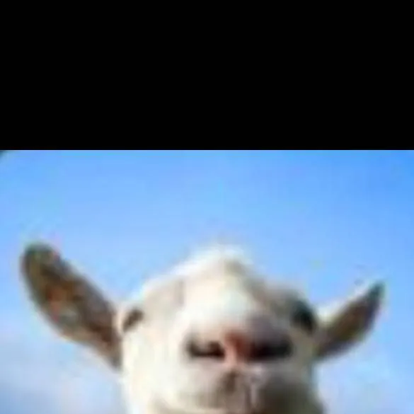 chat with ai character: goat simulator