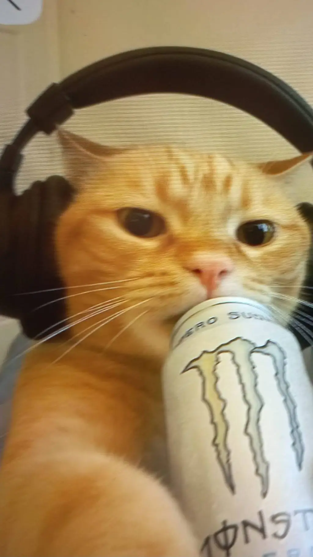 ai character: call of duty cat background