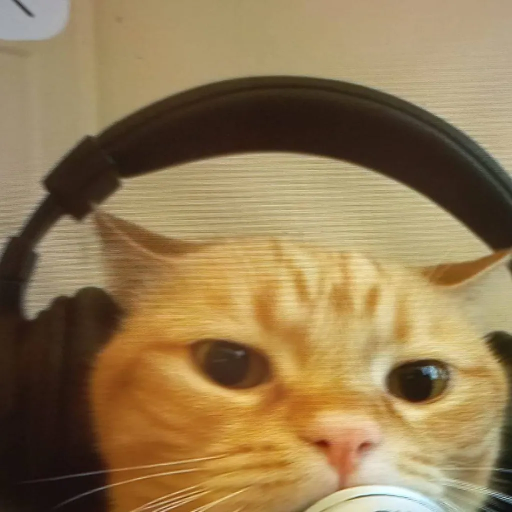 chat with ai character: call of duty cat