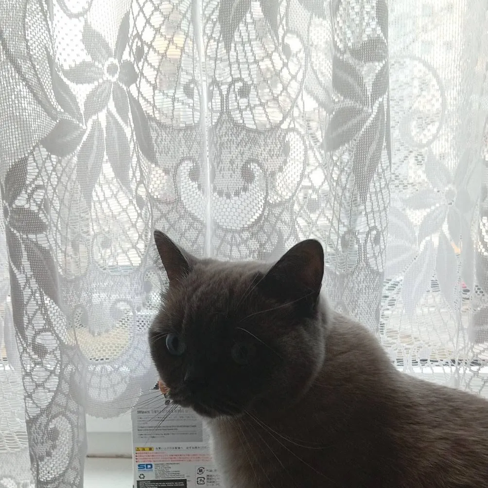 chat with ai character: evil larry