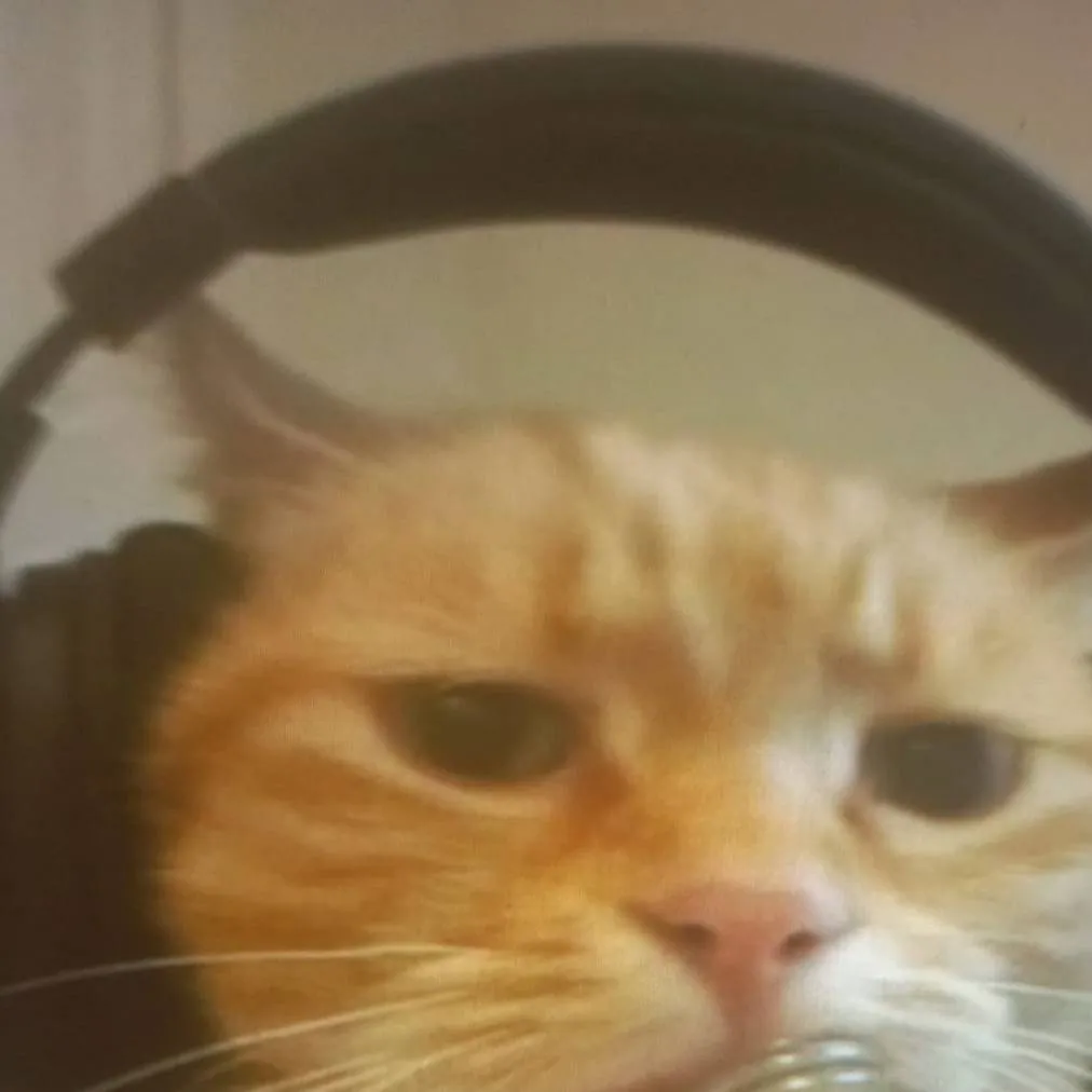 chat with ai character: sigma cat