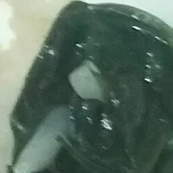 chat with ai character: vegetable